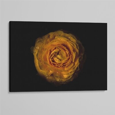 'Backyard Flowers 73 ' - Photographic Print On Wrapped Canvas - Image 0