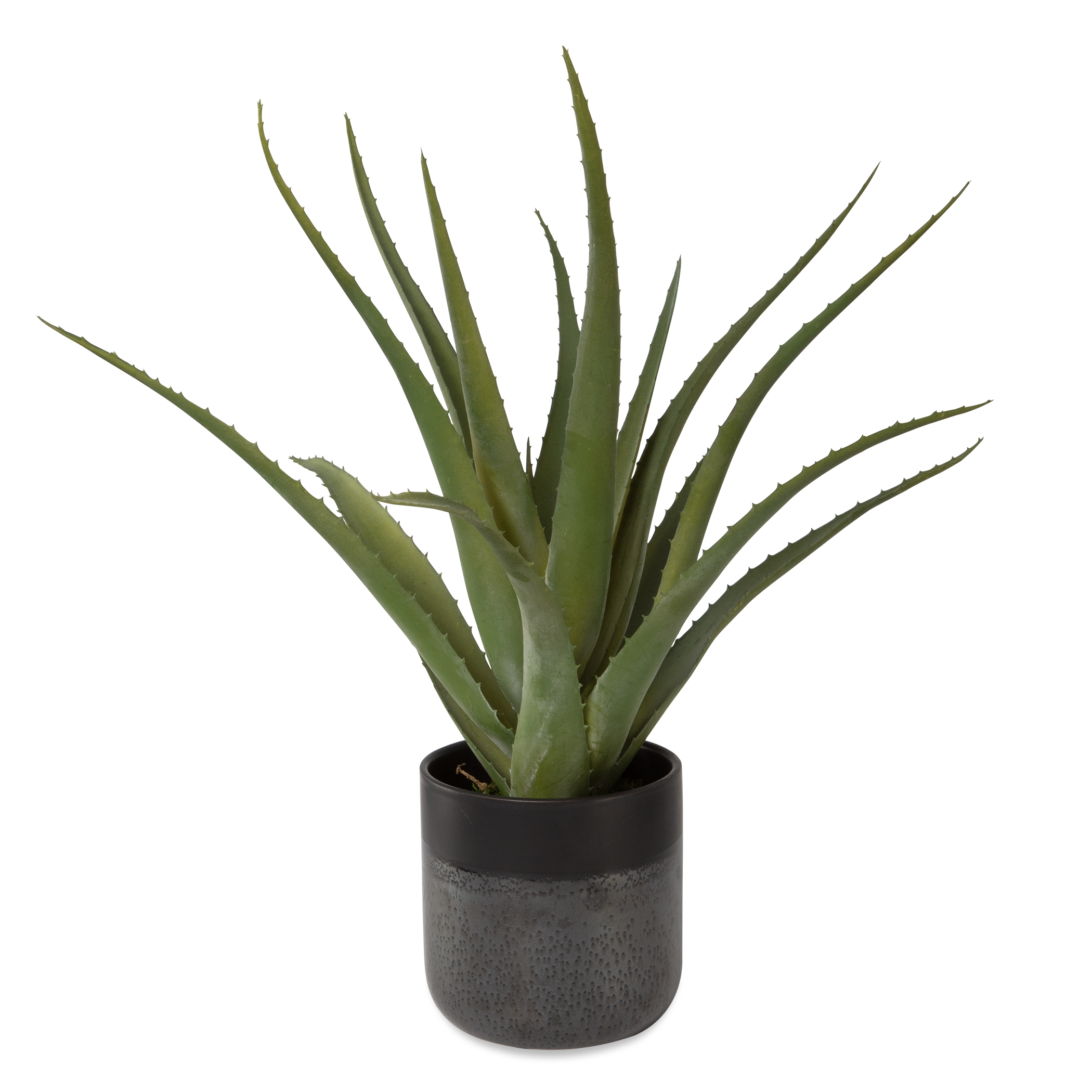 Tucson Aloe Planter - Image 2