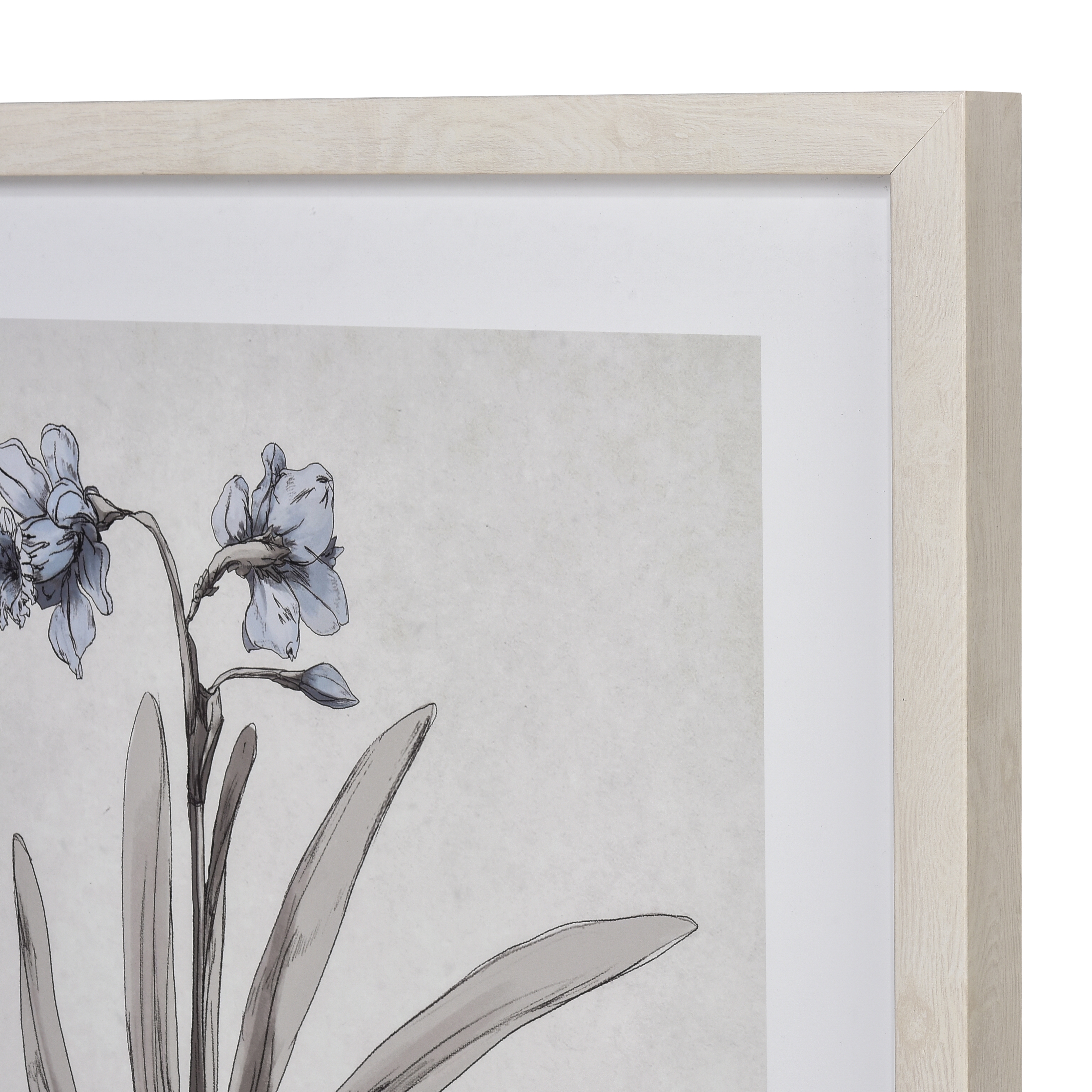 Daffodil Botanic Framed Wall Art - Image 3