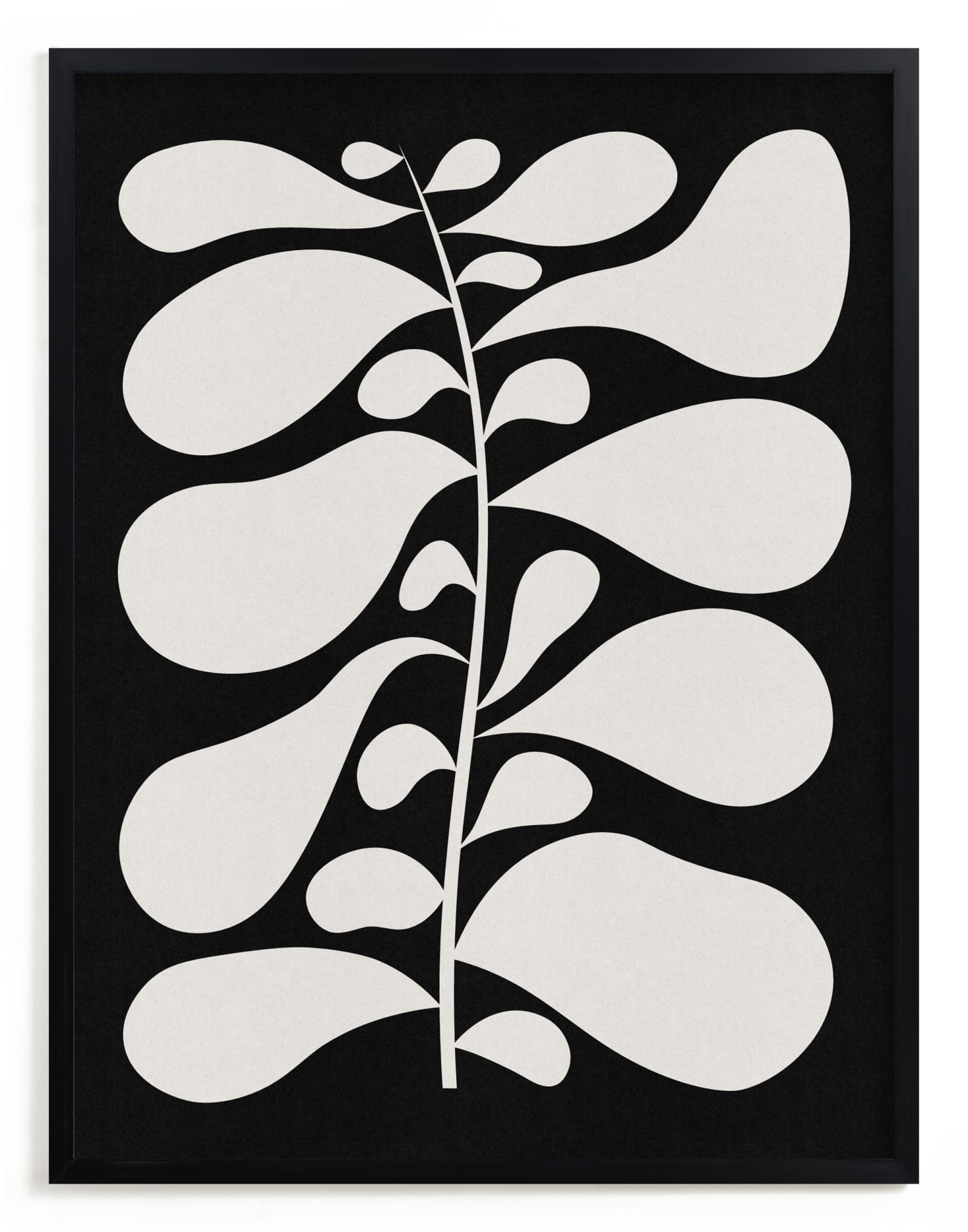 Black Plant II Limited Edition Fine Art Print 2 - Image 0