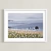 Seaside Daisies Limited Edition Fine Art Print 2 - Image 0