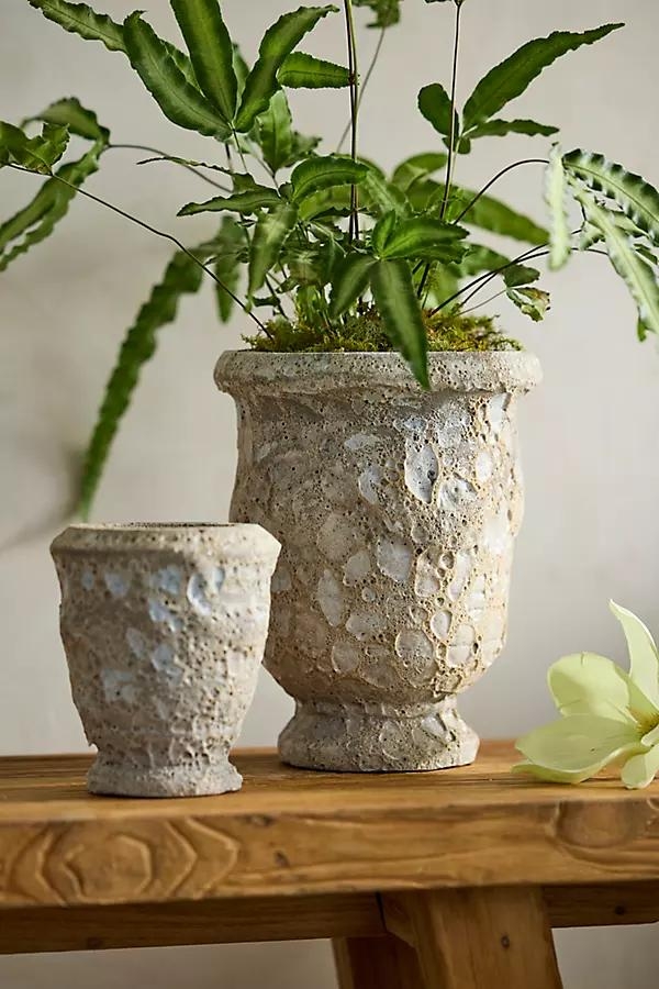 Barnacle Anduze Urn - Image 0