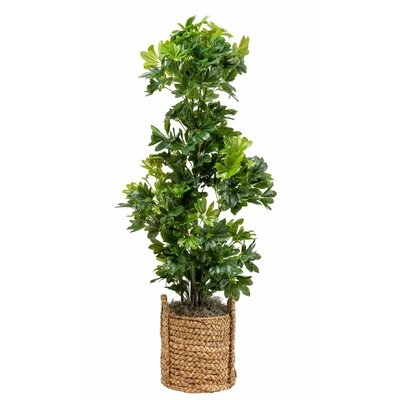 66" Artificial Foliage Tree in Basket - Image 0