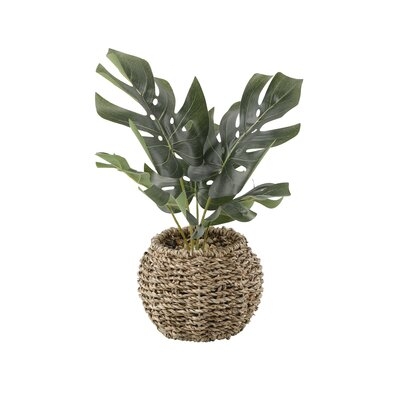 8" Artificial Philodendron Plan in Basket - Image 0