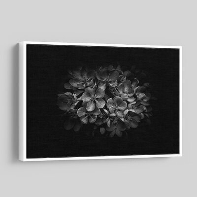 'Backyard Flowers In Black And White 47' - Photographic Print On Wrapped Canvas - Image 0