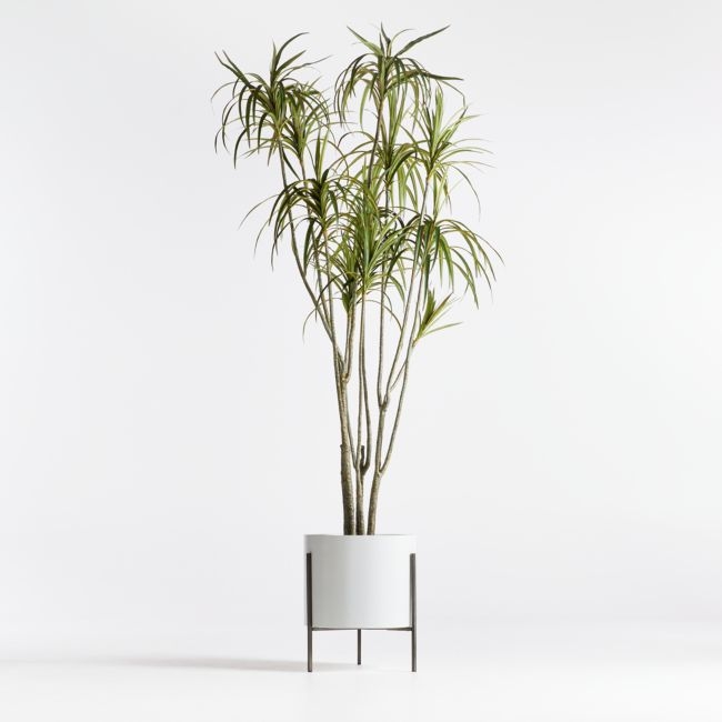 Potted Faux Dracaena 6.5' - Image 0