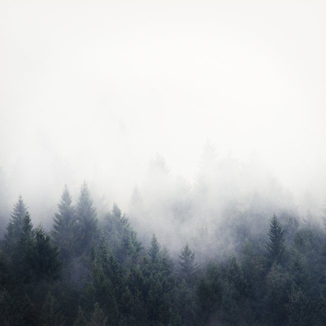 I Don't Give A Fog Framed Art Print by Tordis Kayma - Vector Black - MEDIUM (Gallery)-22x22 - Image 1