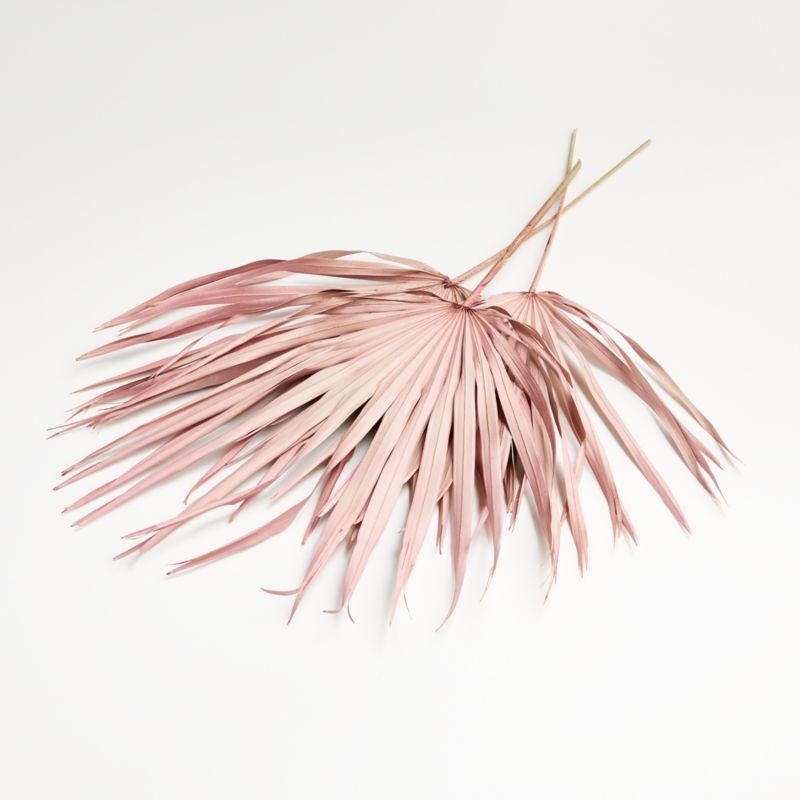 Pink Paper Palms, Set of 3 - Image 5