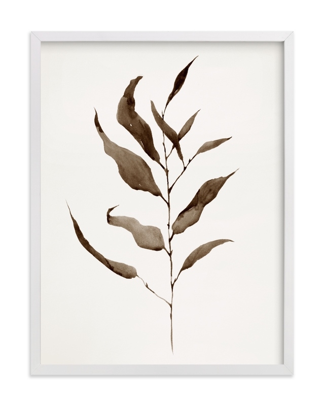 Eucalyptus Foliage Limited Edition Fine Art Print 1 - Image 0