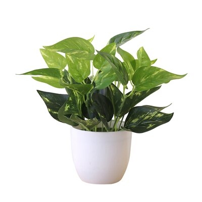Faux Foliage Plant in Planter - Image 0