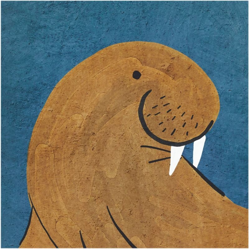 Walrus Framed Wall Art Print - Image 2