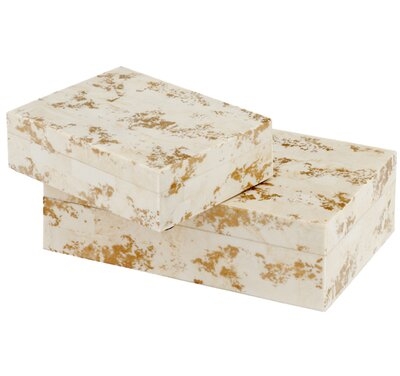 Lejeune Decorative 2 Piece Bone Box Set - Image 0