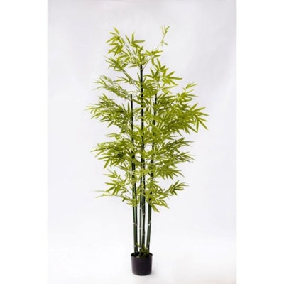 Green Potted Bamboo Plant Faux Plants And Trees - Image 0