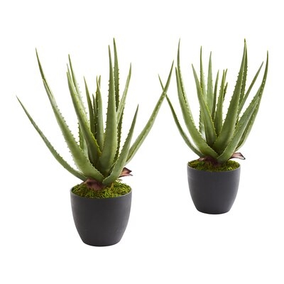 Aloe Artificial Plant (Set Of 2) - Image 0