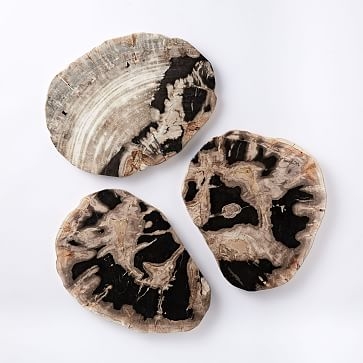 Petrified Wood Cheese Board - Image 2