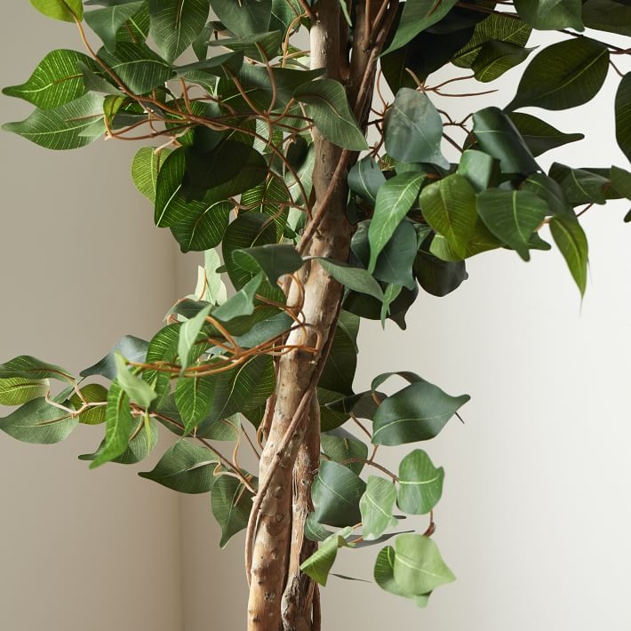 Faux Potted Ficus Tree, 5' - Image 1