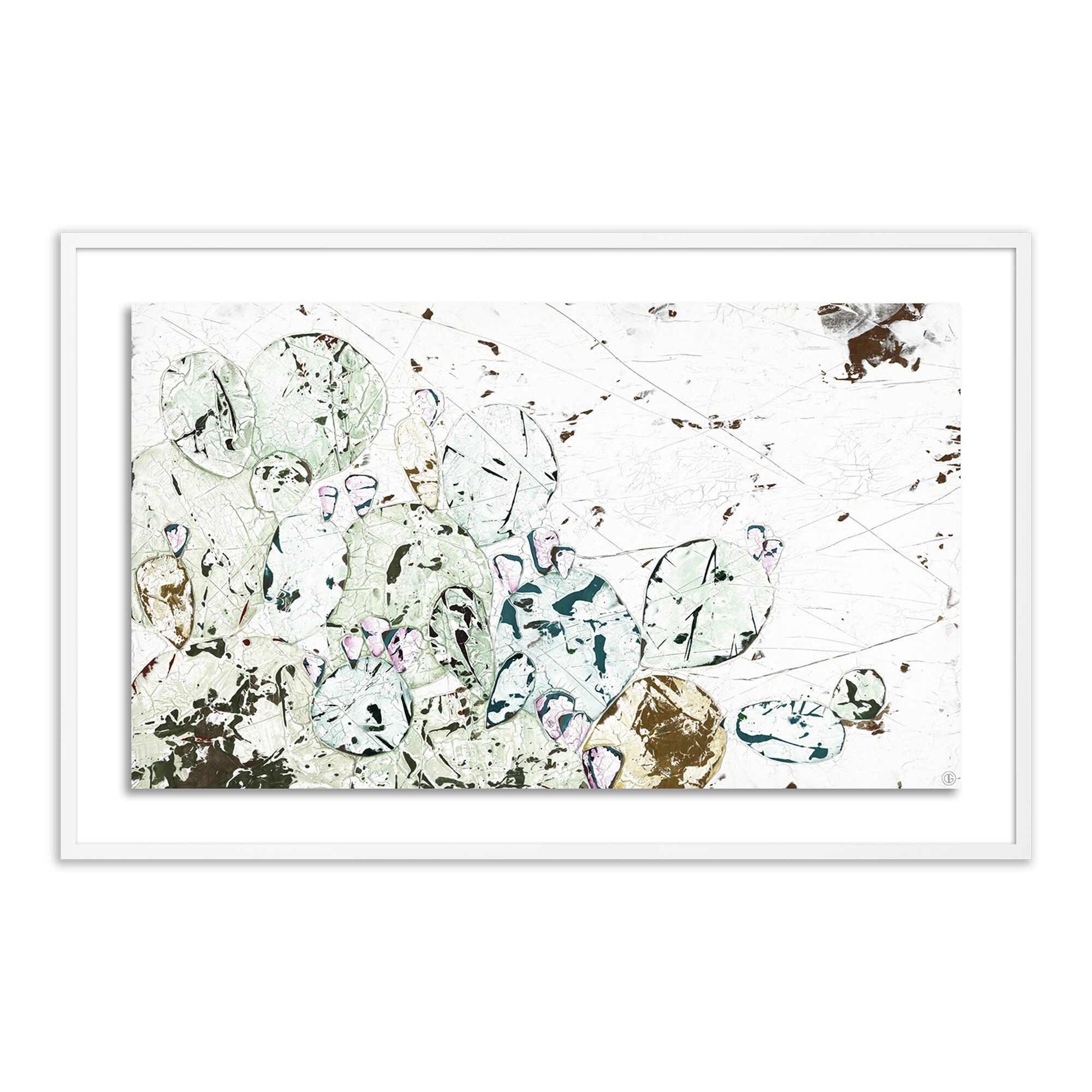 Nopales by Douglas Galloway - White 2.5 Maple - Image 0