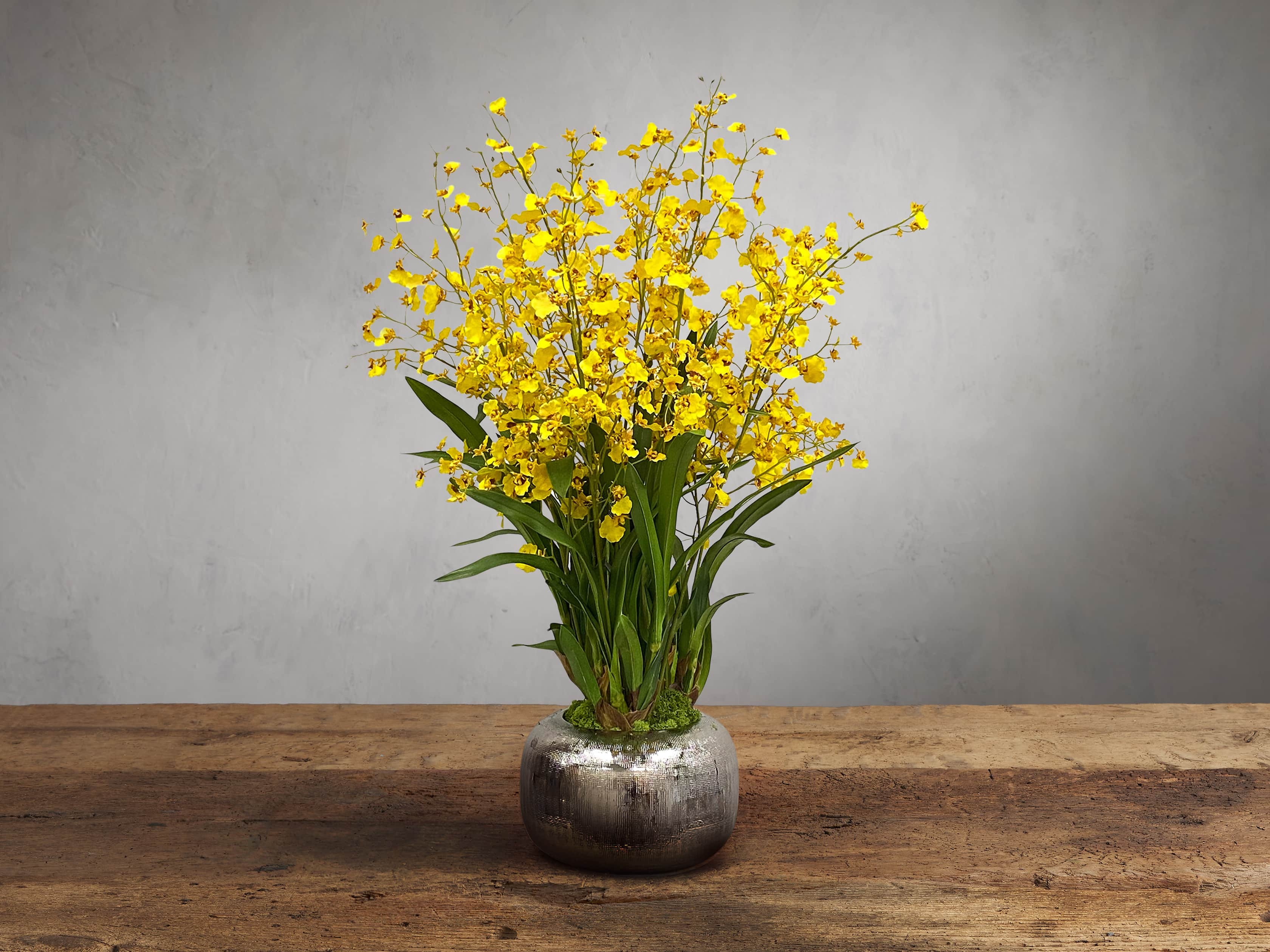Faux Dancing Orchid in Artisanal Pot Aluminum Yellow - Image 0
