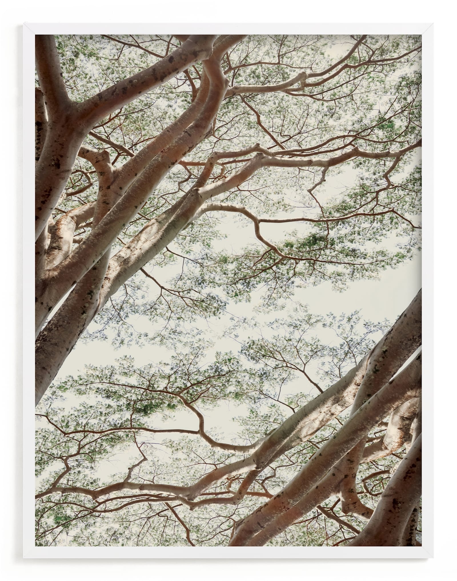 Tapestry I Limited Edition Fine Art Print 2 - Image 0