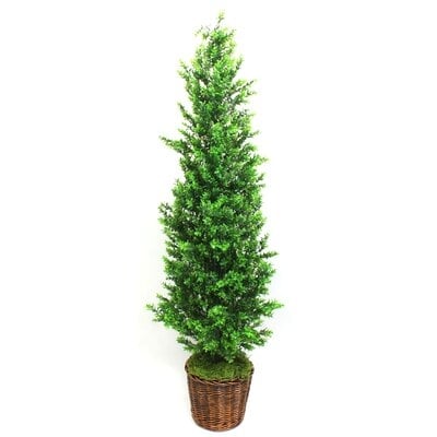 Faux Boxwood Topiary in Basket - Image 0