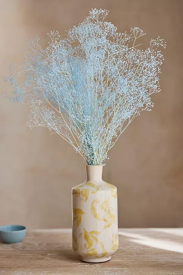 Preserved Gypsophila Bunch - Image 0