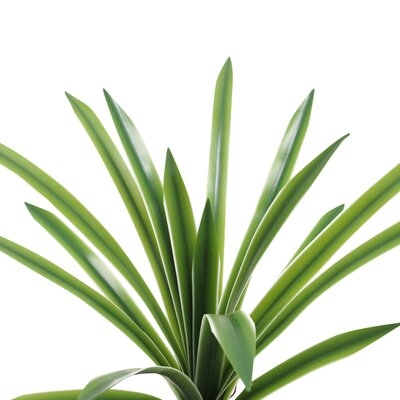 17.5" Artificial Foliage Plant - Image 0