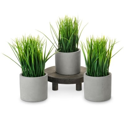 3-Piece Artificial Grass Plant In Pot Set (Set Of 3) - Image 0