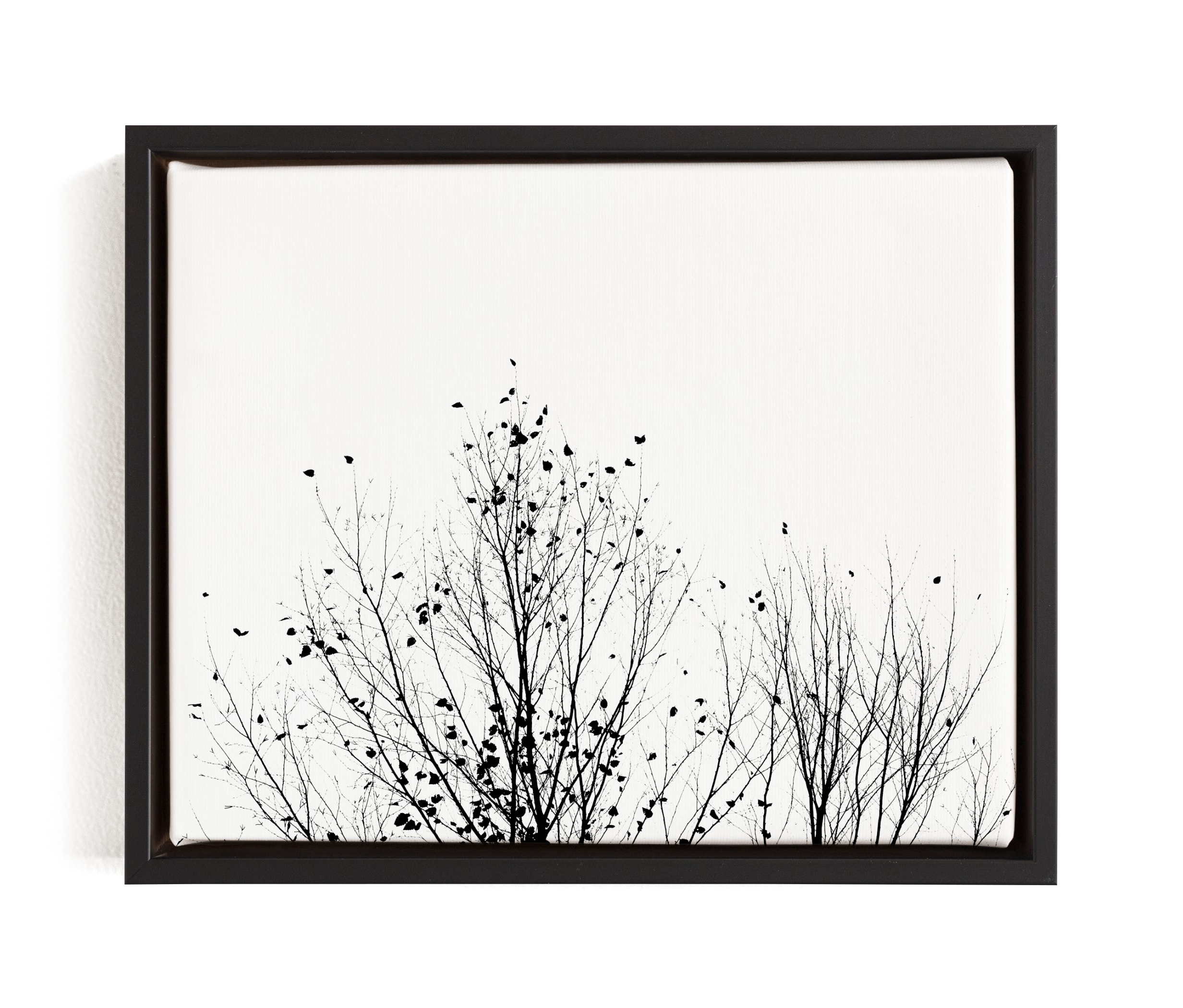 Fly Fly Away Limited Edition Fine Art Print 1 - Image 0