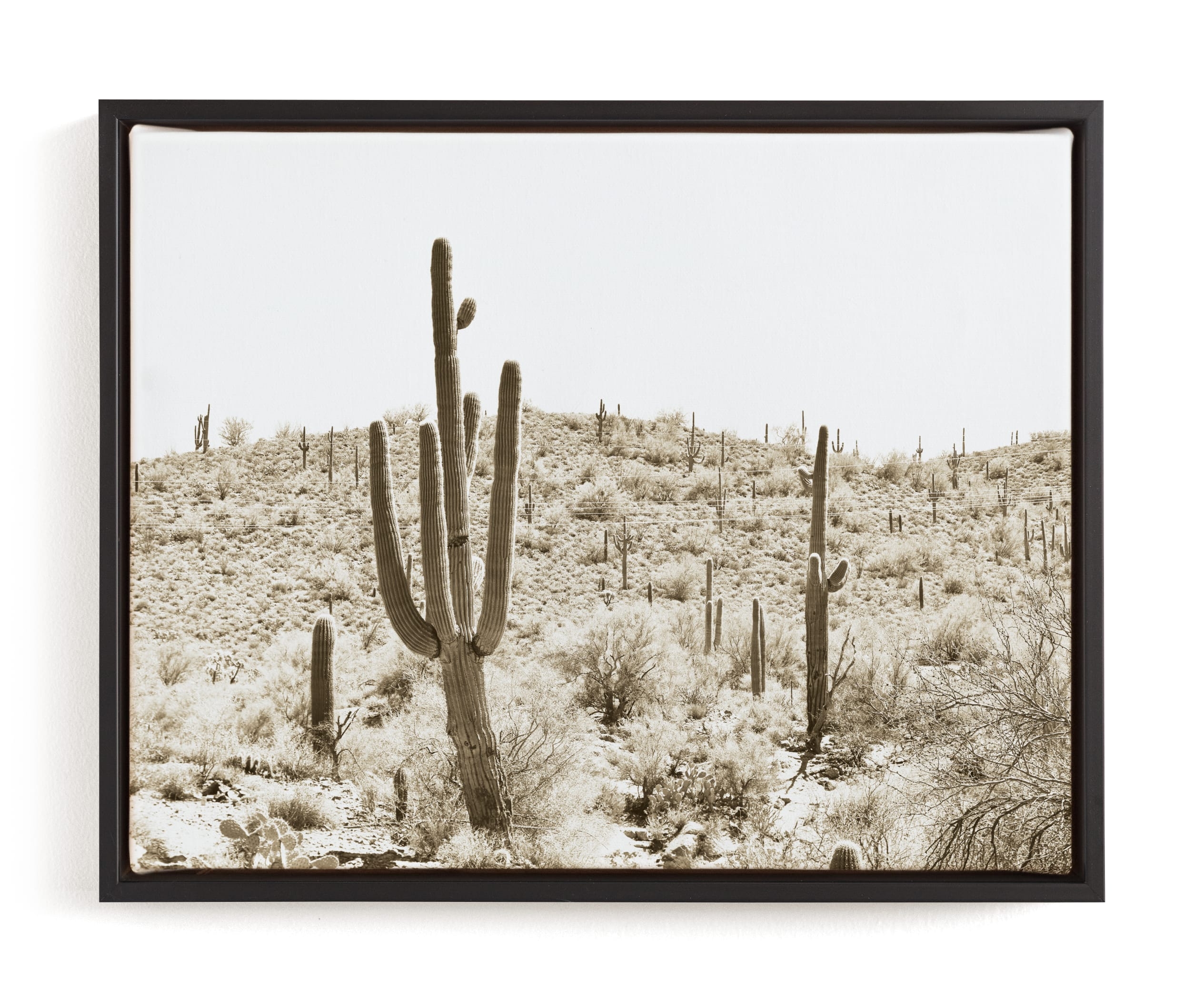 Dusty Cacti Limited Edition Fine Art Print 1 - Image 0