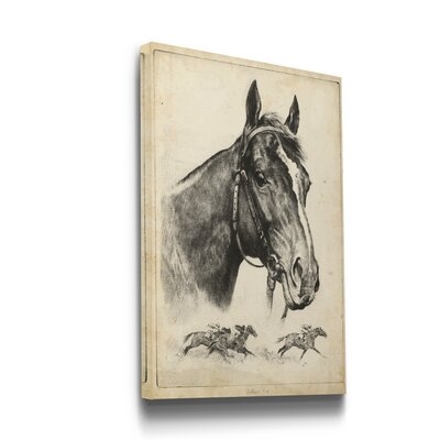 'Gallant Fox' Wrapped Canvas Drawing Print - Image 0
