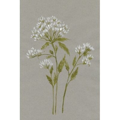 White Field Flowers IV - Image 0