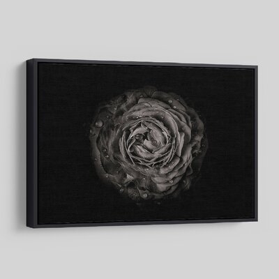'Backyard Flowers In Black And White 73' - Photographic Print On Wrapped Canvas - Image 0