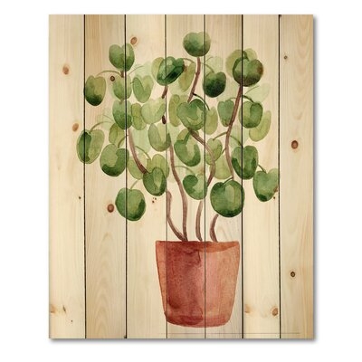 Chinese Money Plant In Pot - Traditional Print On Natural Pine Wood - Image 0