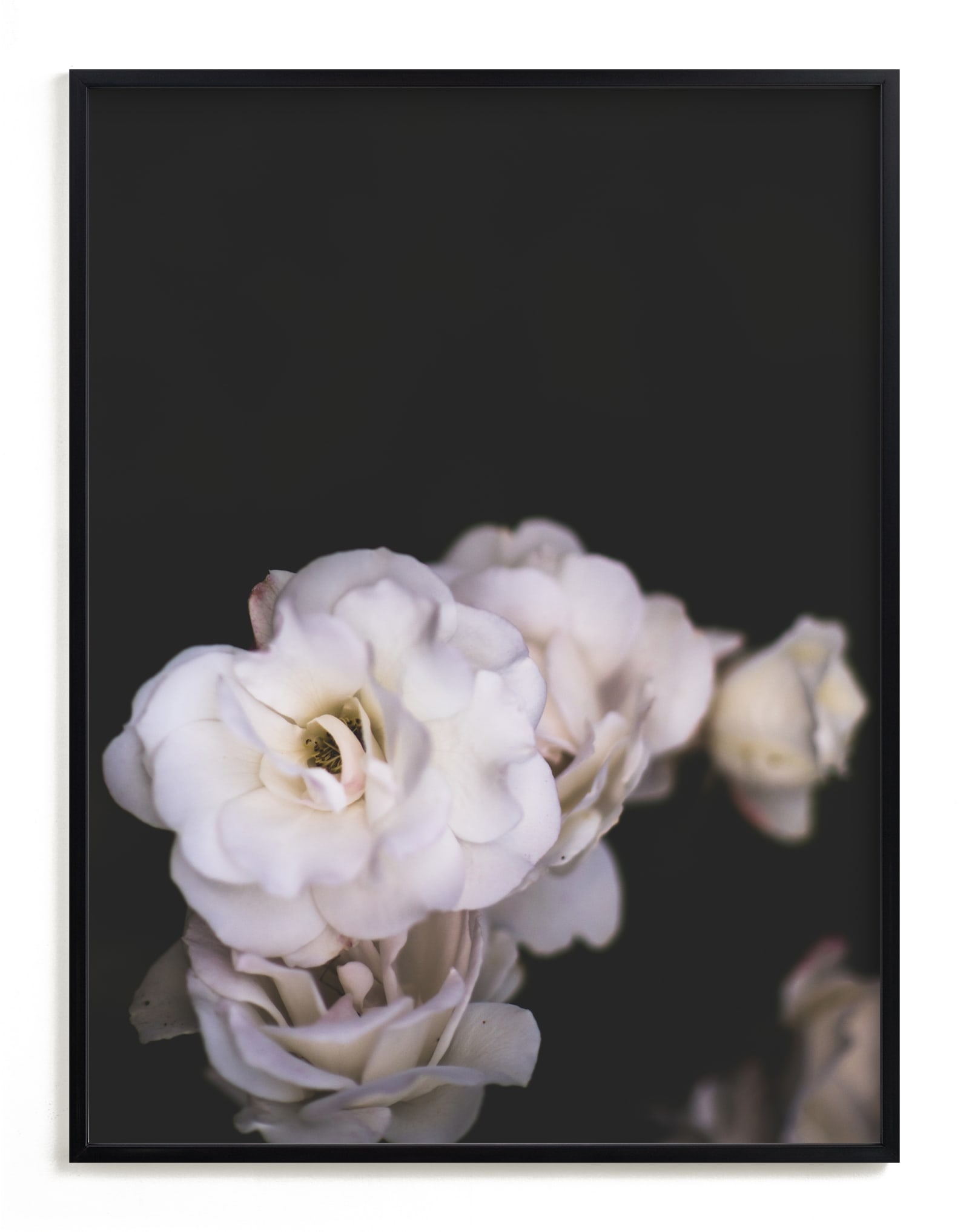 Midnight Bloom Limited Edition Fine Art Print 1 - Image 0