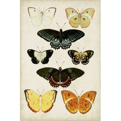 Butterflies Displayed III - Image 0