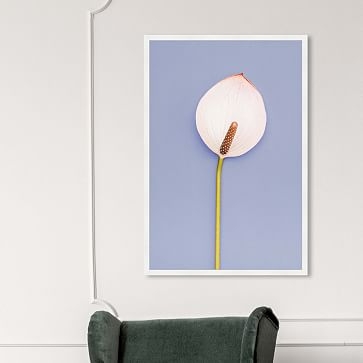 Oliver Gal 'Cala' Floral & Botanical Framed Wall Art, 16"x24" - Image 3