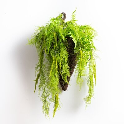 Mixed Fern Artificial Plant In Moss Covered Cone Wall Sconce Hanging Basket - Image 0