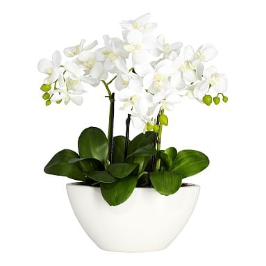 Faux Potted Orchid Arrangement - Image 0
