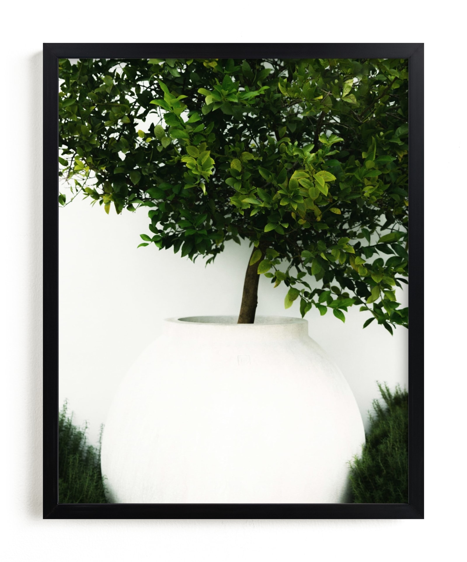 Verdant Garden II Limited Edition Fine Art Print 2 - Image 0