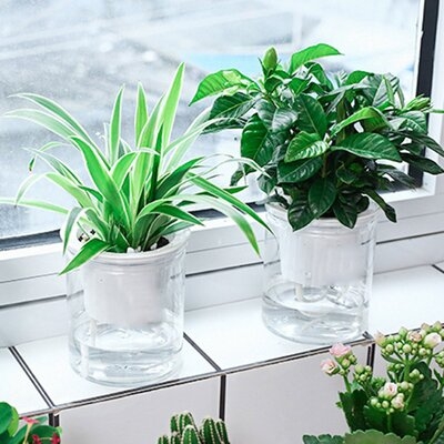 Clear Automatic Water Absorption Self Watering Hydroponic Flower Pot Planter - Image 0