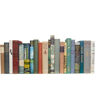 Decorative Book Set - Image 0