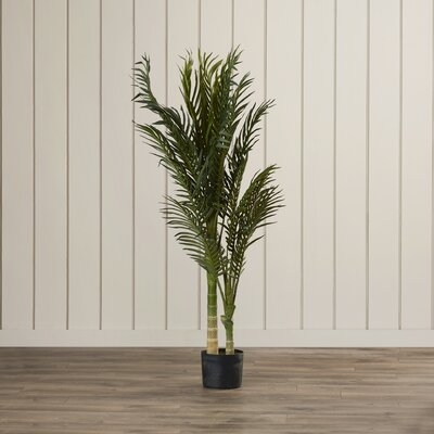 Pembroke Artificial Palm Tree Plant in Planter - Image 0