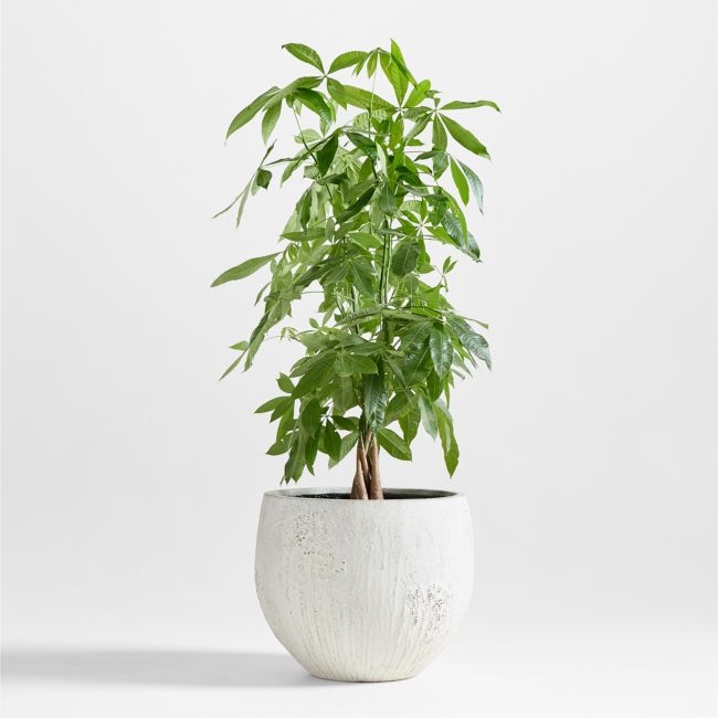 Messina White Textured Indoor/Outdoor Planter 21"x21" - Image 0