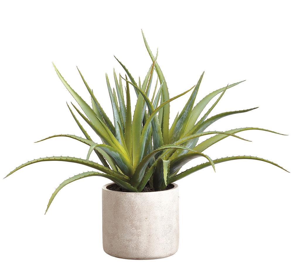 Faux Aloe Plant In Natural-Tone Cement Pot, 21"H - Image 0