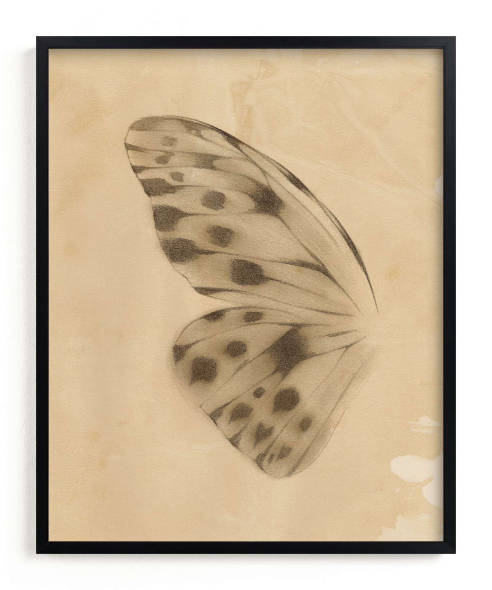 Vintage Mariposa I Limited Edition Fine Art Print 2 - Image 0