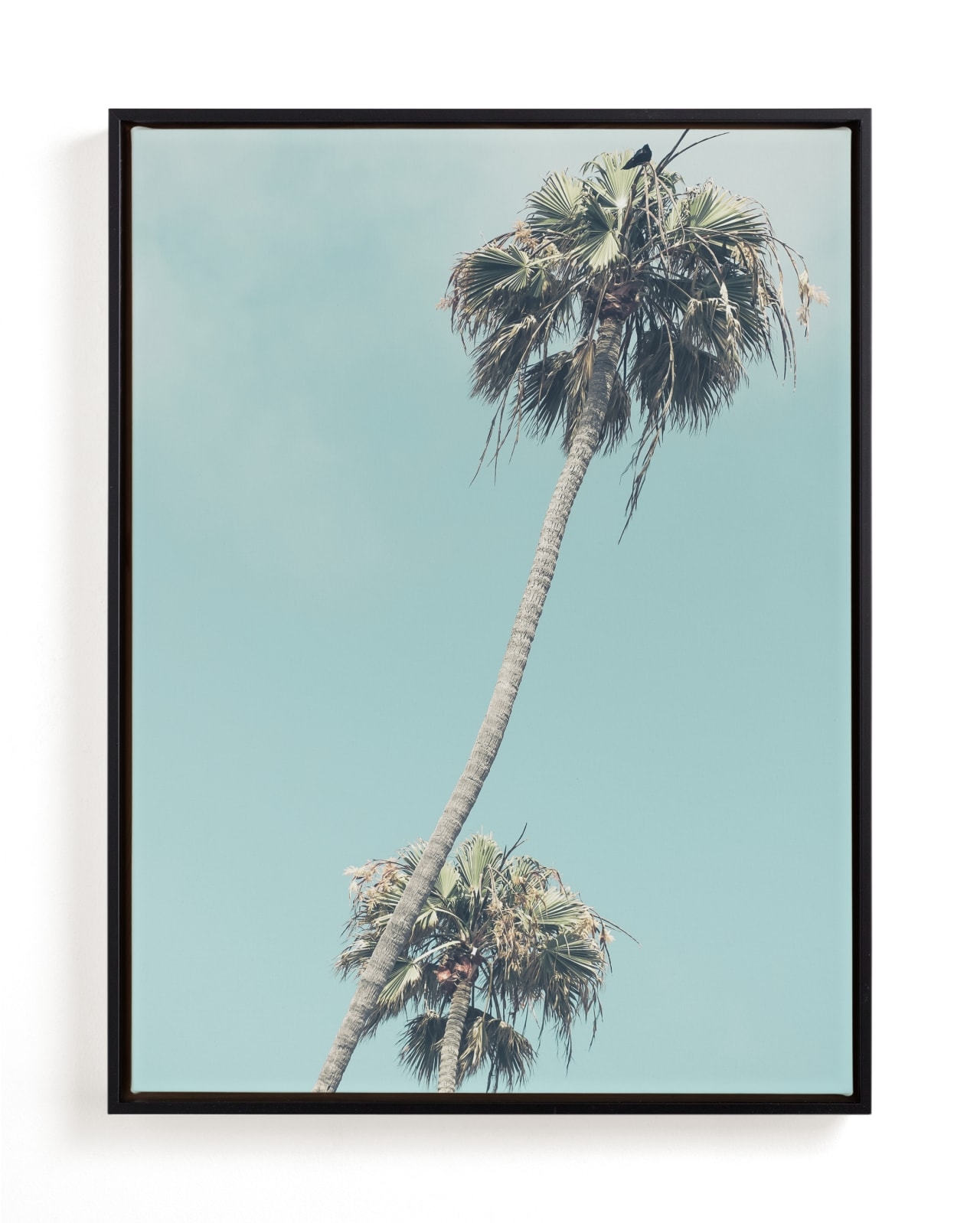 Palms For Days Limited Edition Fine Art Print 1 - Image 0