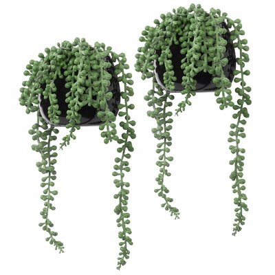 2 Artificial Succulent in Pot Set - Image 0