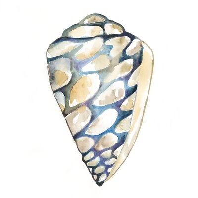 Aquarelle Shells III by Chariklia Zarris Painting Print on Canvas - Image 0
