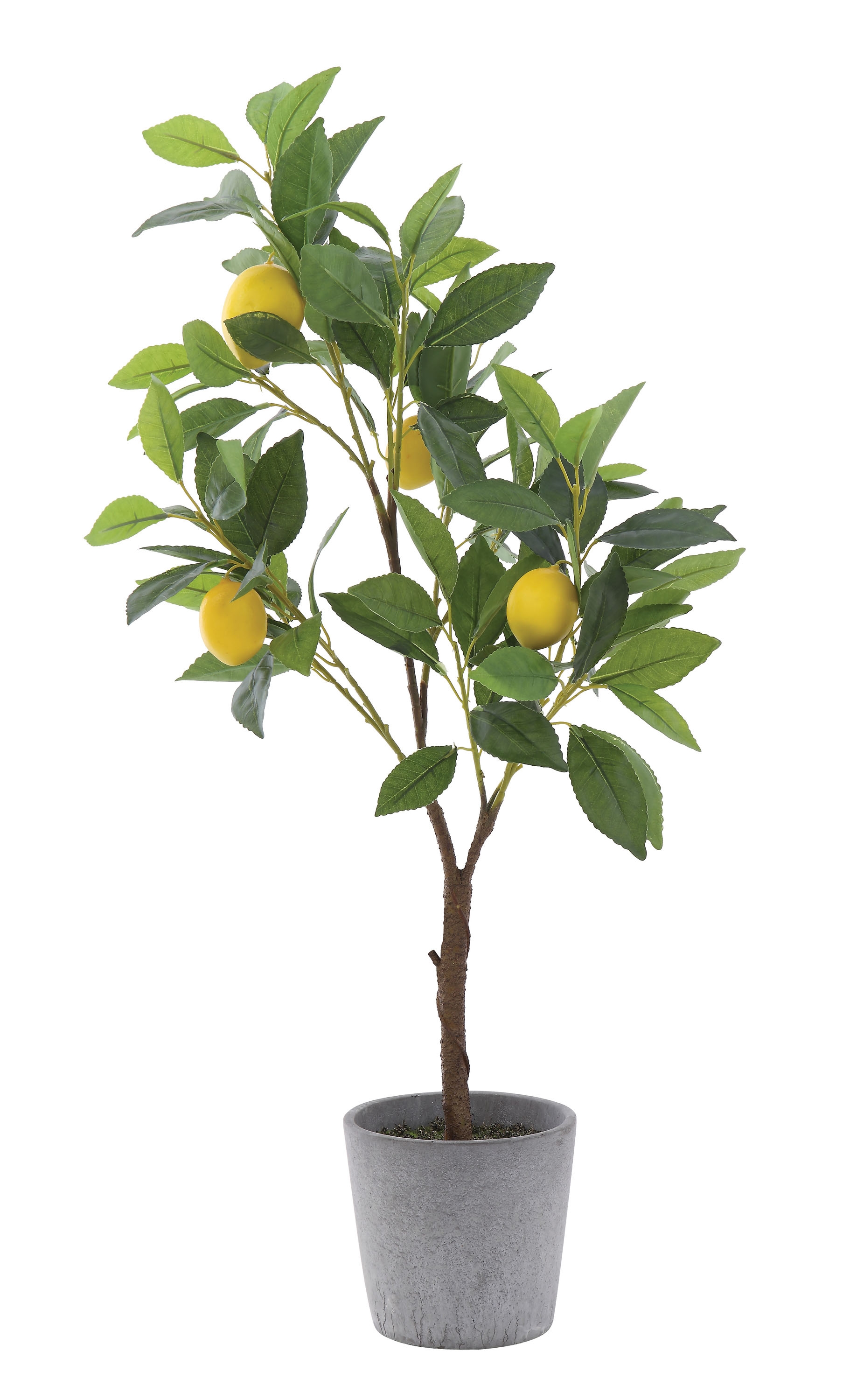 Faux Lemon Tree in Cement Pot - Image 0