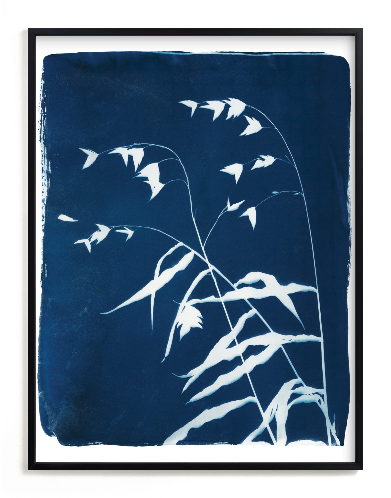 Sea Oats Cyanotype Limited Edition Fine Art Print 2 - Image 0